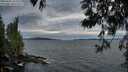 ./images/koeye/fitz-hugh/20250602/fitz-hugh20250602_213509M.jpg