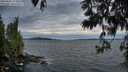 ./images/koeye/fitz-hugh/20250602/fitz-hugh20250602_214009M.jpg