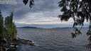 ./images/koeye/fitz-hugh/20250602/fitz-hugh20250602_214508M.jpg