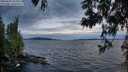 ./images/koeye/fitz-hugh/20250602/fitz-hugh20250602_215009M.jpg