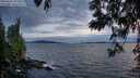 ./images/koeye/fitz-hugh/20250602/fitz-hugh20250602_215508M.jpg