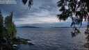 ./images/koeye/fitz-hugh/20250602/fitz-hugh20250602_220009M.jpg