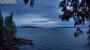 ./images/koeye/fitz-hugh/20250602/fitz-hugh20250602_221507M.jpg