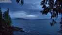 ./images/koeye/fitz-hugh/20250602/fitz-hugh20250602_222009M.jpg