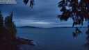 ./images/koeye/fitz-hugh/20250602/fitz-hugh20250602_222509M.jpg