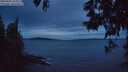 ./images/koeye/fitz-hugh/20250602/fitz-hugh20250602_223008M.jpg