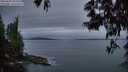 ./images/koeye/fitz-hugh/20250603/fitz-hugh20250603_045009M.jpg