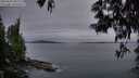./images/koeye/fitz-hugh/20250603/fitz-hugh20250603_045507M.jpg