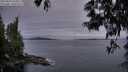 ./images/koeye/fitz-hugh/20250603/fitz-hugh20250603_050007M.jpg