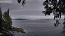 ./images/koeye/fitz-hugh/20250603/fitz-hugh20250603_050507M.jpg