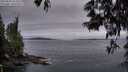 ./images/koeye/fitz-hugh/20250603/fitz-hugh20250603_051008M.jpg