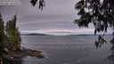 ./images/koeye/fitz-hugh/20250603/fitz-hugh20250603_052509M.jpg