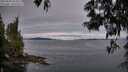 ./images/koeye/fitz-hugh/20250603/fitz-hugh20250603_053008M.jpg