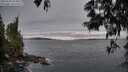 ./images/koeye/fitz-hugh/20250603/fitz-hugh20250603_054009M.jpg