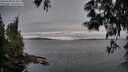 ./images/koeye/fitz-hugh/20250603/fitz-hugh20250603_054507M.jpg