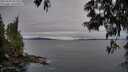 ./images/koeye/fitz-hugh/20250603/fitz-hugh20250603_055009M.jpg