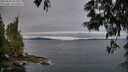 ./images/koeye/fitz-hugh/20250603/fitz-hugh20250603_055508M.jpg
