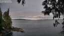 ./images/koeye/fitz-hugh/20250603/fitz-hugh20250603_060508M.jpg