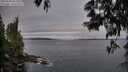 ./images/koeye/fitz-hugh/20250603/fitz-hugh20250603_061009M.jpg
