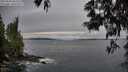 ./images/koeye/fitz-hugh/20250603/fitz-hugh20250603_061509M.jpg