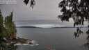 ./images/koeye/fitz-hugh/20250603/fitz-hugh20250603_063010M.jpg