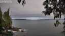 ./images/koeye/fitz-hugh/20250603/fitz-hugh20250603_063510M.jpg