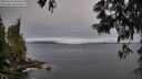 ./images/koeye/fitz-hugh/20250603/fitz-hugh20250603_065010M.jpg