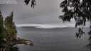 ./images/koeye/fitz-hugh/20250603/fitz-hugh20250603_065510M.jpg