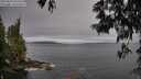 ./images/koeye/fitz-hugh/20250603/fitz-hugh20250603_070510M.jpg