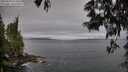 ./images/koeye/fitz-hugh/20250603/fitz-hugh20250603_071010M.jpg
