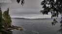 ./images/koeye/fitz-hugh/20250603/fitz-hugh20250603_071510M.jpg