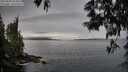 ./images/koeye/fitz-hugh/20250603/fitz-hugh20250603_074011M.jpg