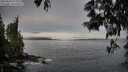 ./images/koeye/fitz-hugh/20250603/fitz-hugh20250603_074510M.jpg