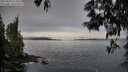 ./images/koeye/fitz-hugh/20250603/fitz-hugh20250603_075010M.jpg