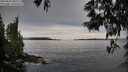 ./images/koeye/fitz-hugh/20250603/fitz-hugh20250603_080510M.jpg