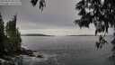 ./images/koeye/fitz-hugh/20250603/fitz-hugh20250603_081511M.jpg