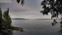 ./images/koeye/fitz-hugh/20250603/fitz-hugh20250603_082510M.jpg