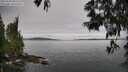 ./images/koeye/fitz-hugh/20250603/fitz-hugh20250603_083510M.jpg