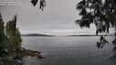 ./images/koeye/fitz-hugh/20250603/fitz-hugh20250603_084009M.jpg
