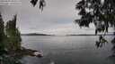 ./images/koeye/fitz-hugh/20250603/fitz-hugh20250603_084510M.jpg