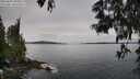 ./images/koeye/fitz-hugh/20250603/fitz-hugh20250603_090011M.jpg