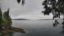./images/koeye/fitz-hugh/20250603/fitz-hugh20250603_095010M.jpg