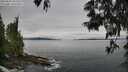 ./images/koeye/fitz-hugh/20250603/fitz-hugh20250603_095509M.jpg