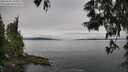 ./images/koeye/fitz-hugh/20250603/fitz-hugh20250603_100011M.jpg