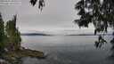 ./images/koeye/fitz-hugh/20250603/fitz-hugh20250603_100508M.jpg