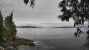./images/koeye/fitz-hugh/20250603/fitz-hugh20250603_101010M.jpg