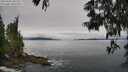 ./images/koeye/fitz-hugh/20250603/fitz-hugh20250603_101508M.jpg
