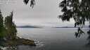 ./images/koeye/fitz-hugh/20250603/fitz-hugh20250603_102508M.jpg