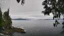 ./images/koeye/fitz-hugh/20250603/fitz-hugh20250603_103010M.jpg