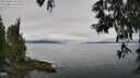 ./images/koeye/fitz-hugh/20250603/fitz-hugh20250603_103509M.jpg